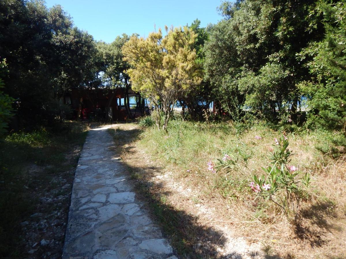 Apartman Duje Petrcane Exterior photo